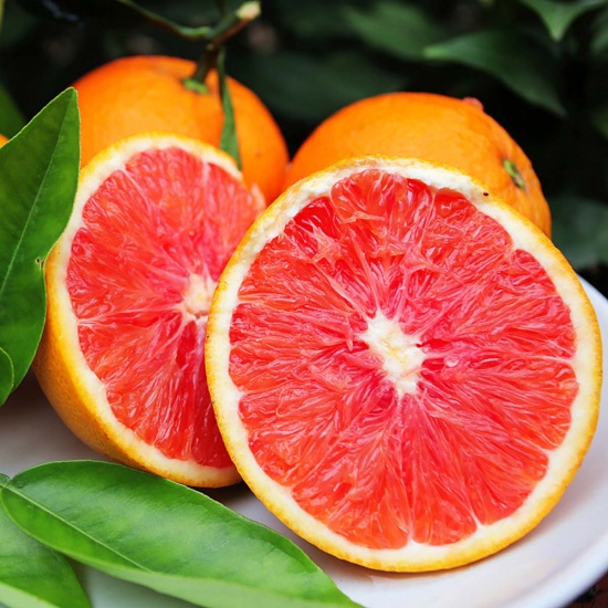 Cam Cara ruột đỏ, hàng tuyển chọn